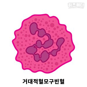 비타민 결핍 빈혈