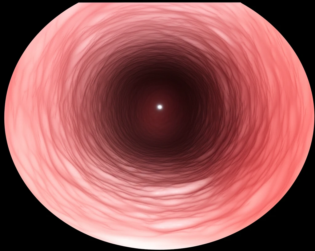 위내시경 전 흰죽 먹는 이유? 잔여물..