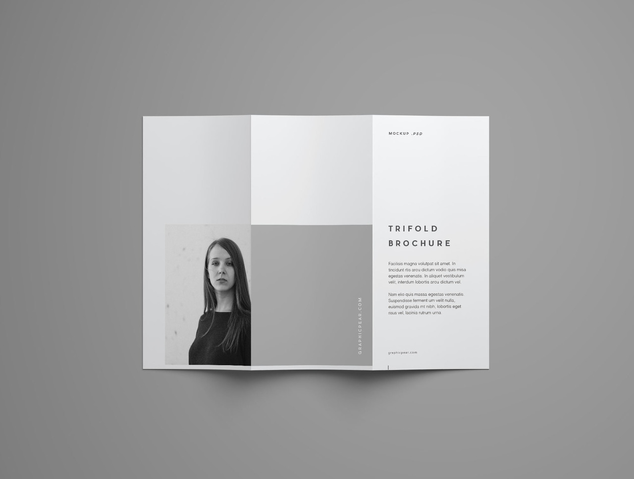 Free Advanced Trifold Brochure Mockup &ndash; 7 Angles