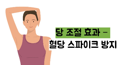 아보카도 효능