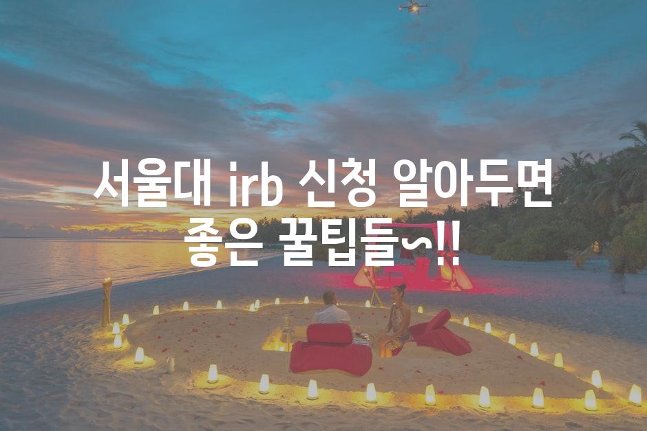 IRB 6