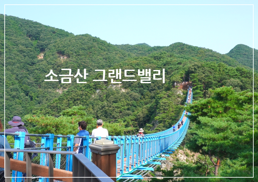 원주 소금산 출렁다리