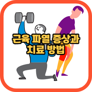 근육 파열 증상과 치료 방법