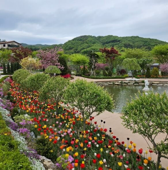 생생정보 택시맛객 용인여행 용인자작나무숲 봄꽃축제 실내스카이다이빙체험 족발맛집 평원집