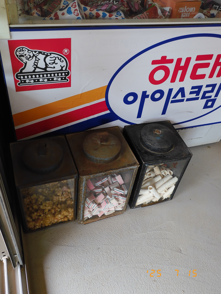 후지필름 X 하프 샘플 사진