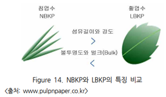 침엽수와 활엽수 비교