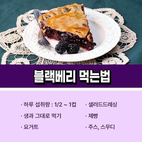 블랙베리_먹는법