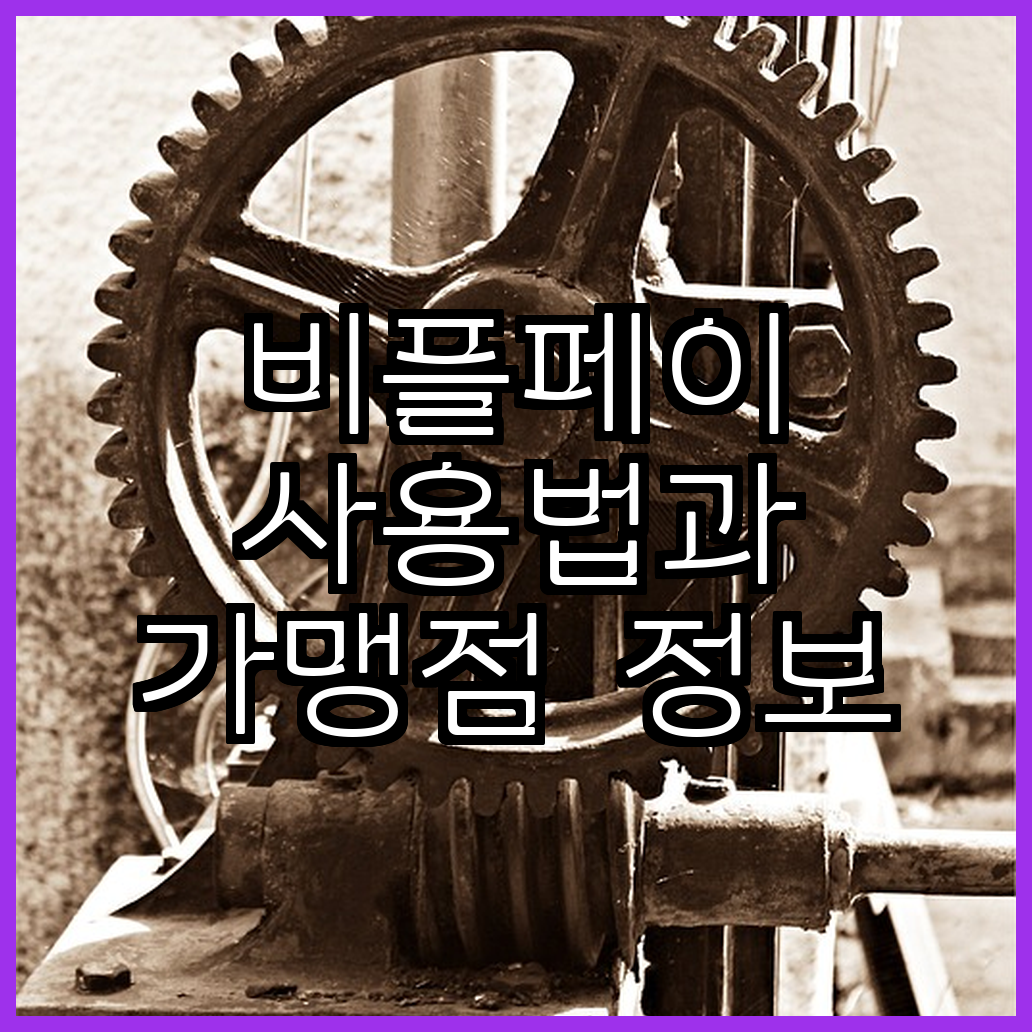 비플페이 사용법과 가맹점 정보 완벽 정리