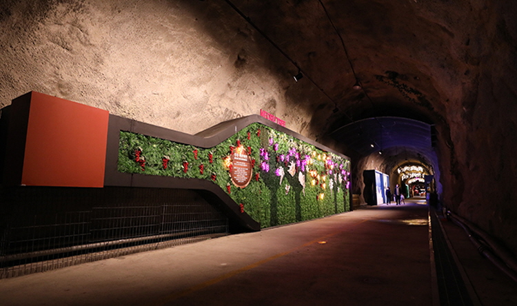 무주 머루와인동굴