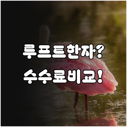 루프트한자 좌석 변경 조건 및 수수료..