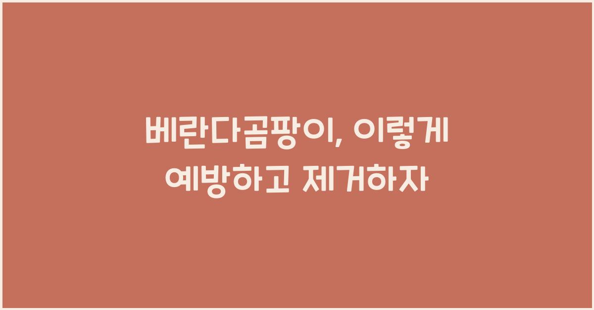 베란다곰팡이