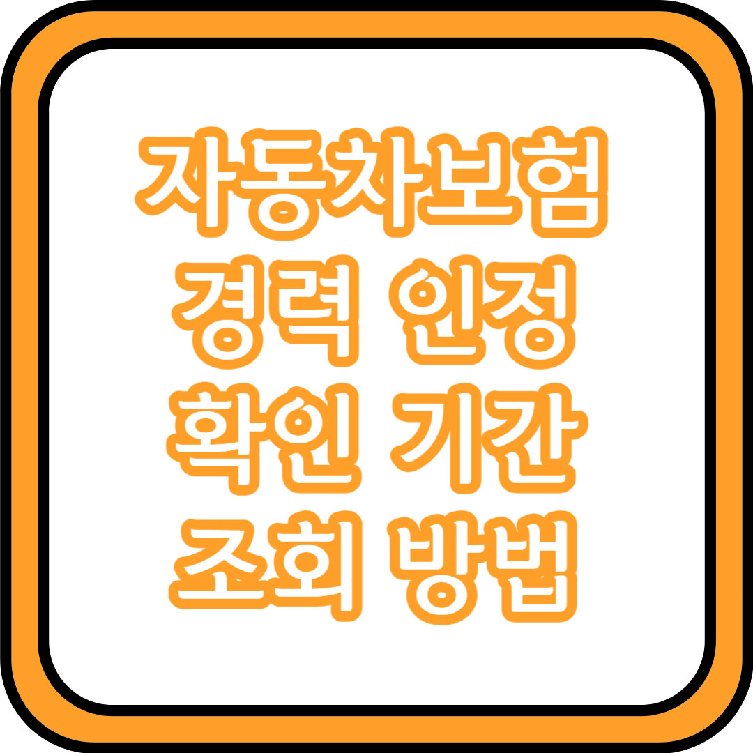 자동차보험 경력 인정 확인 기간 조회