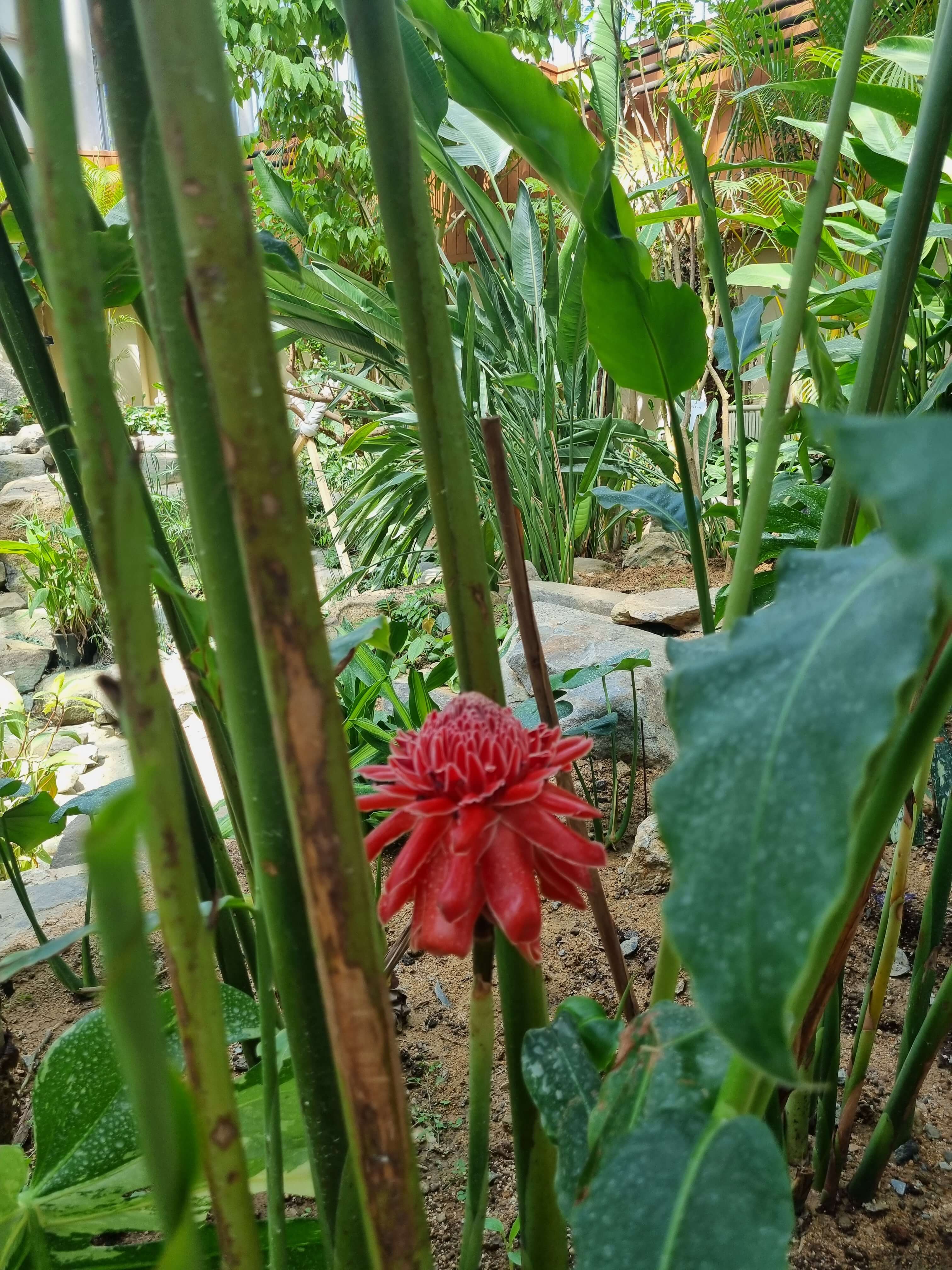 부천 가볼만한 곳 자연생태공원