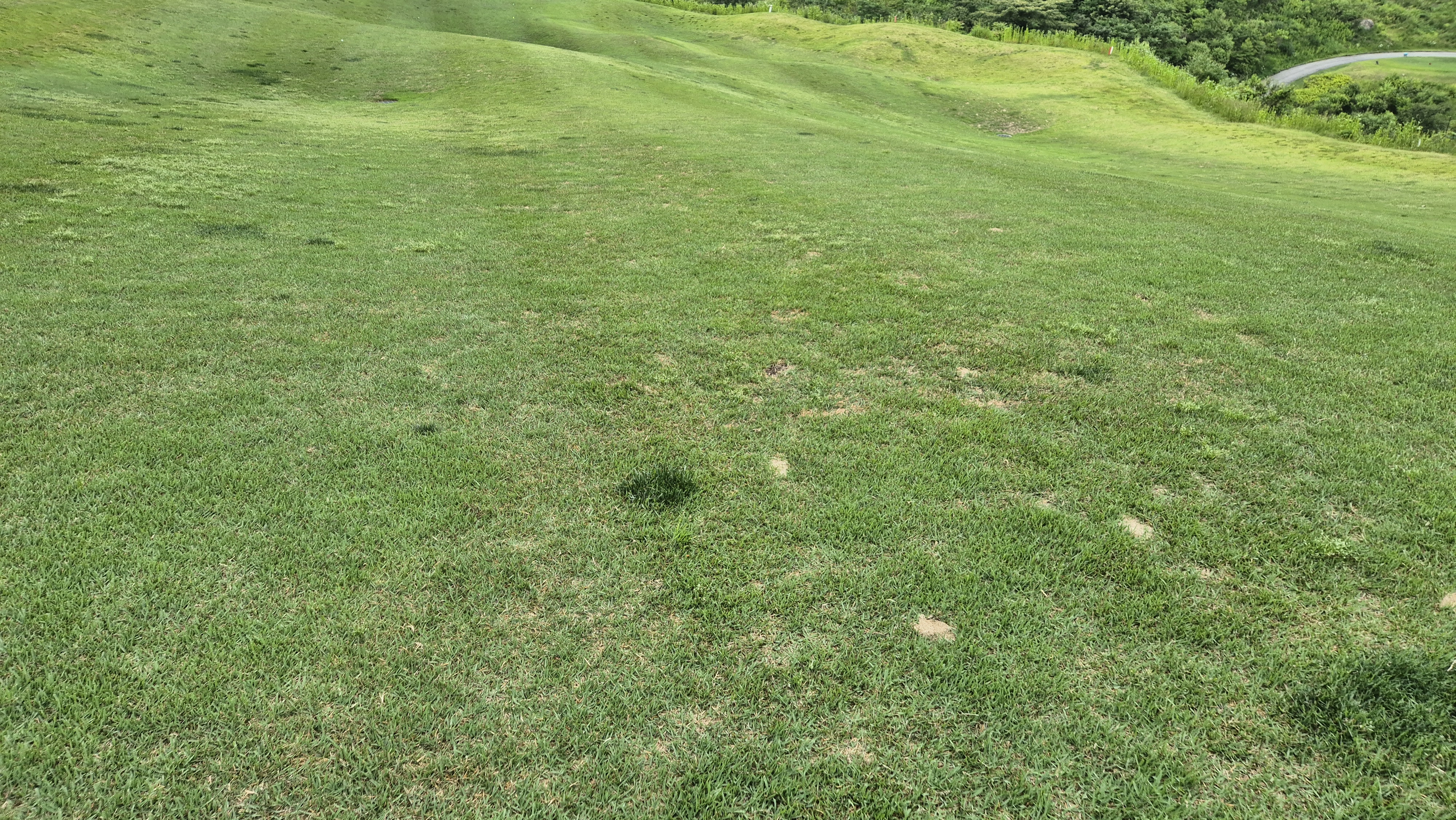 샴발라cc 라운드 후기