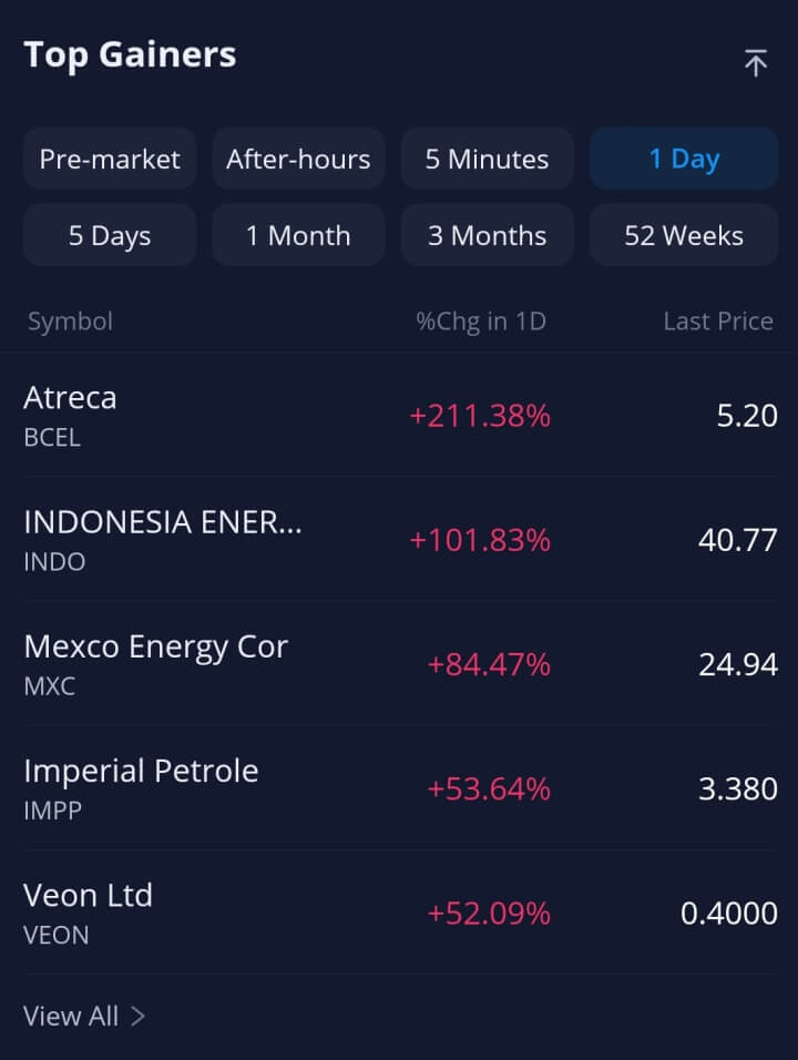 실시간세계증시-webull-topgainers