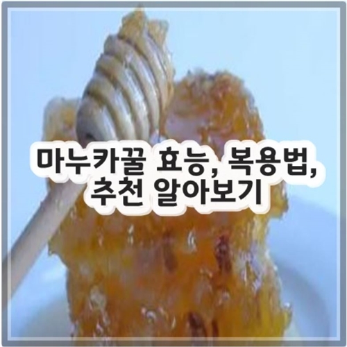 마누카꿀 효능, 복용법, 추천 알아보기
