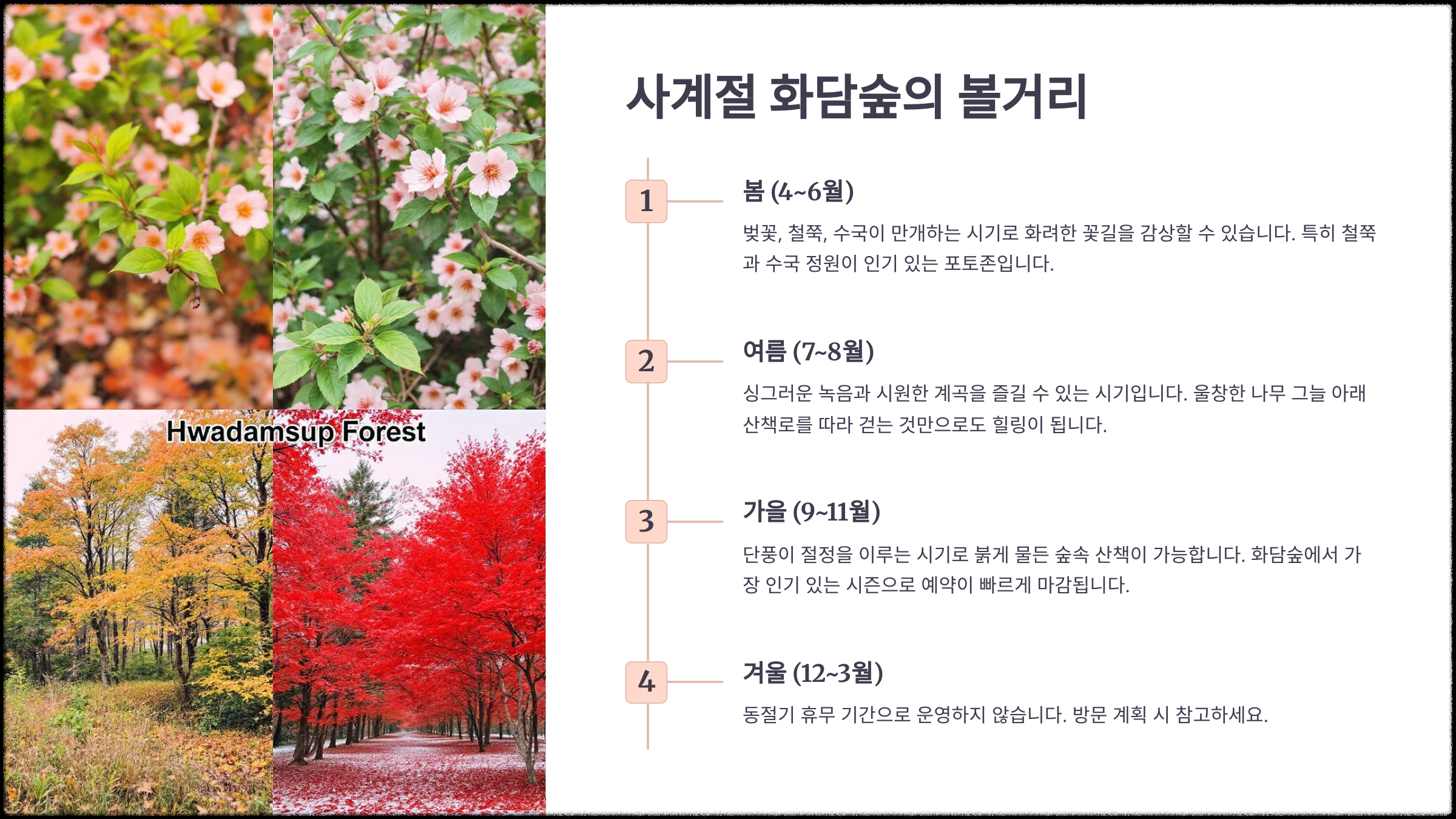 사계절 화담숲 볼거리