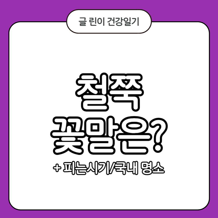 철쭉 꽃말