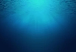 대왕고래 이어 마귀상어 관련주 정리