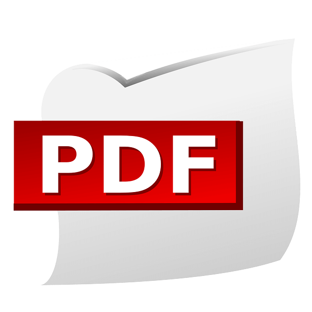 PDF 뷰어