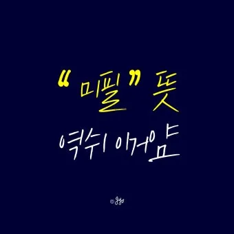 소훼난파 뜻 둥지가 무너지면 알이 깨어진다 명언_2