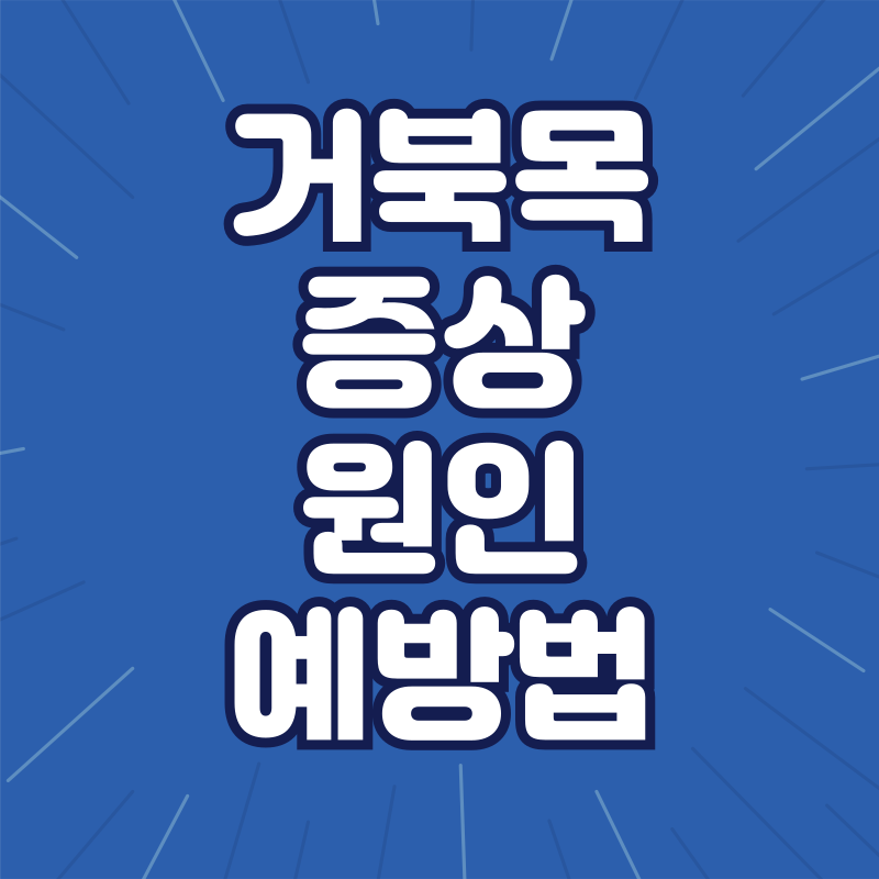 거북목총정리