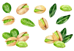 타민B6 풍부 '피스타치오'