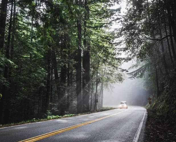 성남 분당 종합버스터미널 고속버스 시간표 조회 및 예매 방법