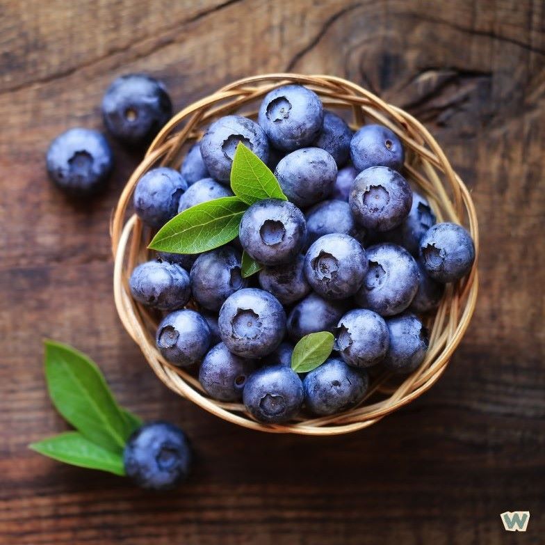 갱년기 여성을 위한 안토시아닌 항산화 식품 블루베리가 담긴 나무 바구니 via canva