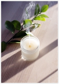 집안 냄새 없애는 방법