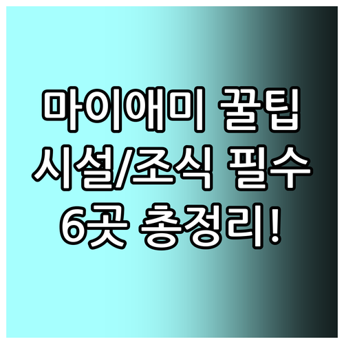 마이애미 비치 럭셔리 호텔 6곳 비교..