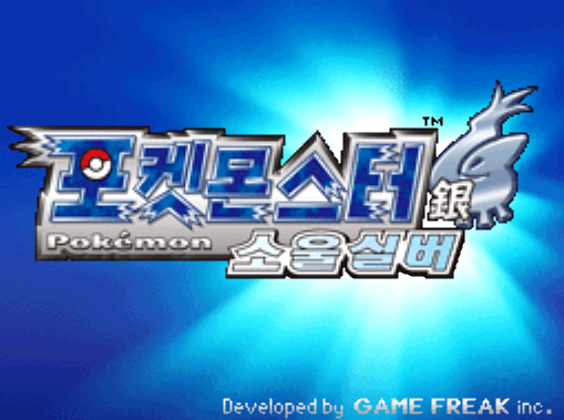 닌텐도 DS 정발판