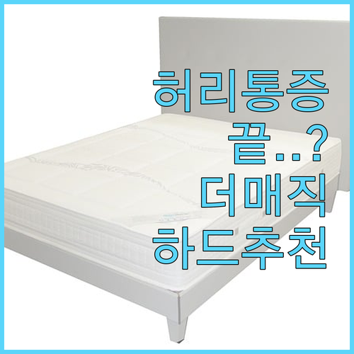 허리 통증 완화 돕는 웰퍼니쳐 더매직..