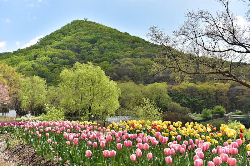 인천대공원 사진