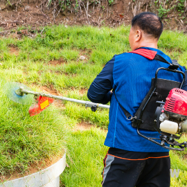 벌초 대행 서비스 사진1