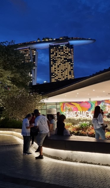 가든스 바이 더 베이 슈퍼 트리 쇼