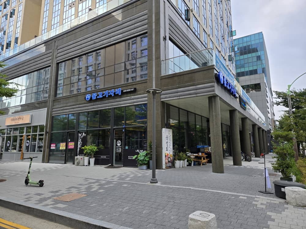 송도 물고기자리