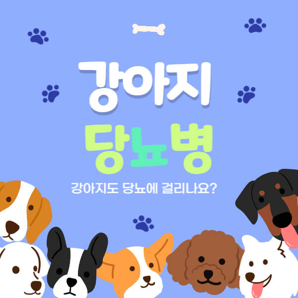 강아지_당뇨_썸네일