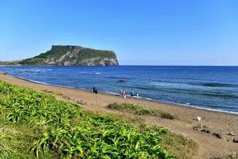 성산포항 여객터미널 우도 배시간표 배편 예약 요금_17