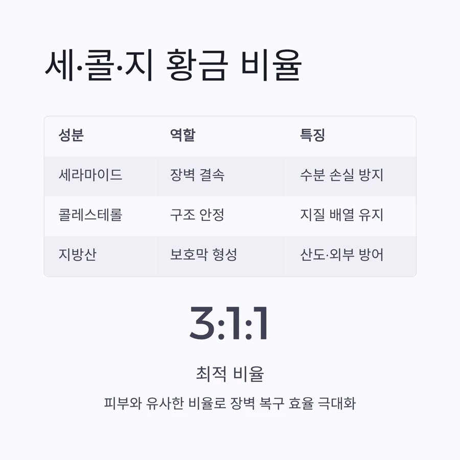 세콜지 황금 비율
