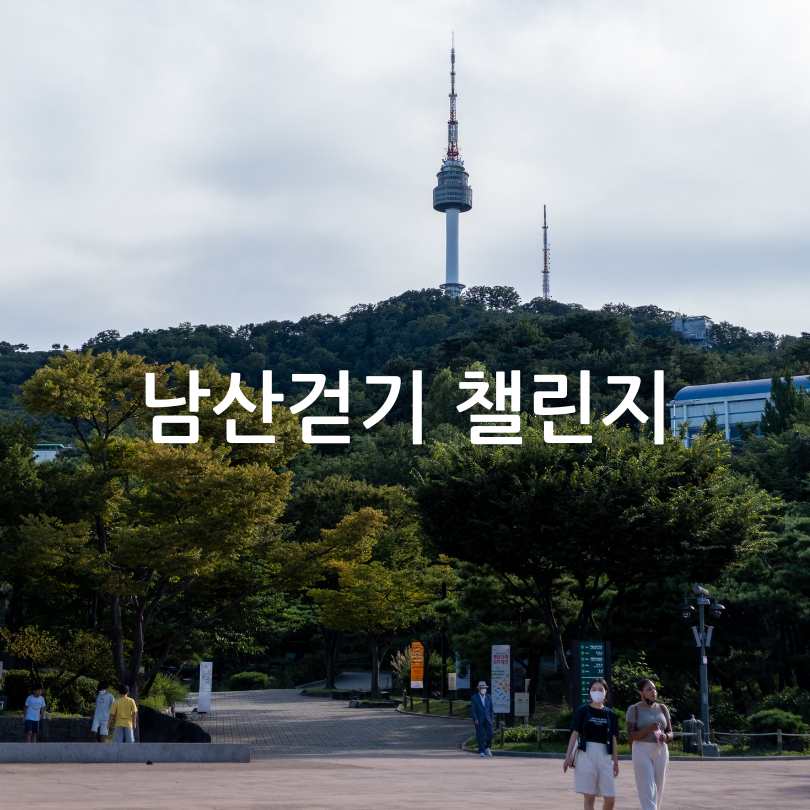 손목닥터9988 남산 걷기 챌린지
