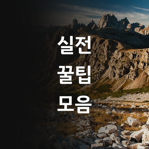 2025 시흥 청소년 교통비, 매달 ..