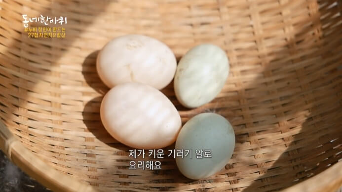 기러기알