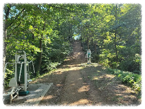 독침산