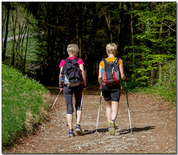 숲길에서 노르딕워킹하는 여성들