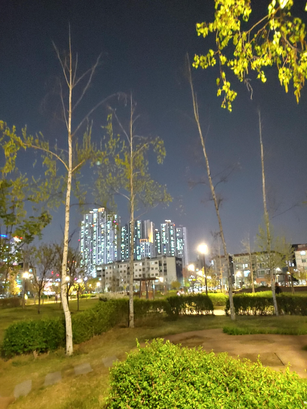 밤의-피크닉-밤의-산책-@신천공원