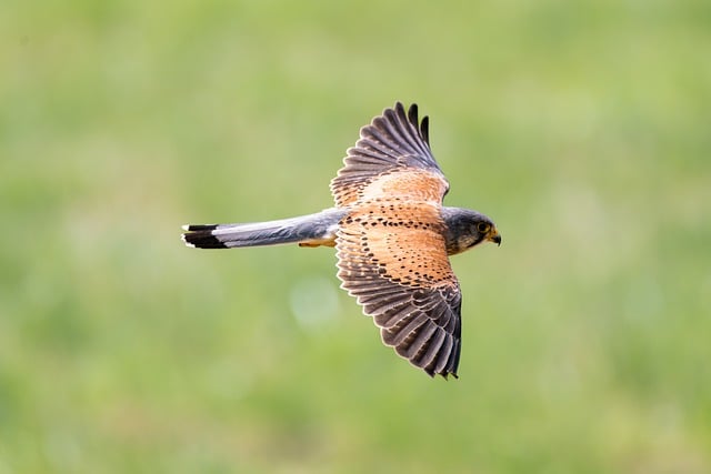 스카이스캐너 항공권 싸게 찾는 꿀팁 10