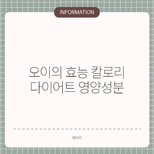 오이의 효능 칼로리 다이어트 영양성분