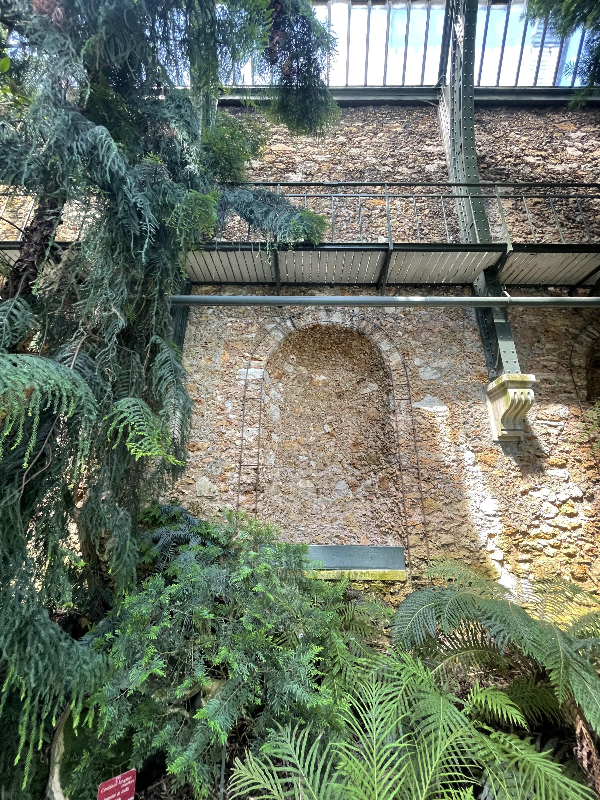 Serre de l'Histoire Des Plantes