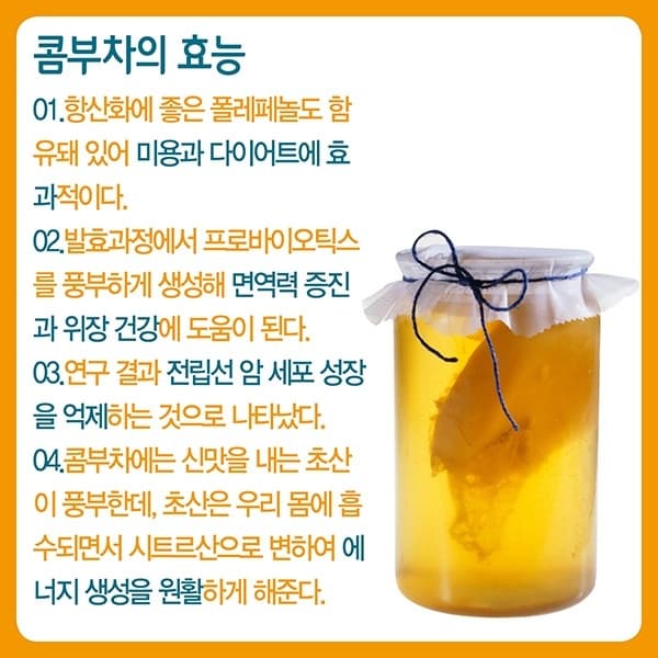 콤부차 효능&amp;#44; 마시는 법 잘못 알면 부작용 올 수도! 주의사항부터 확인하세요